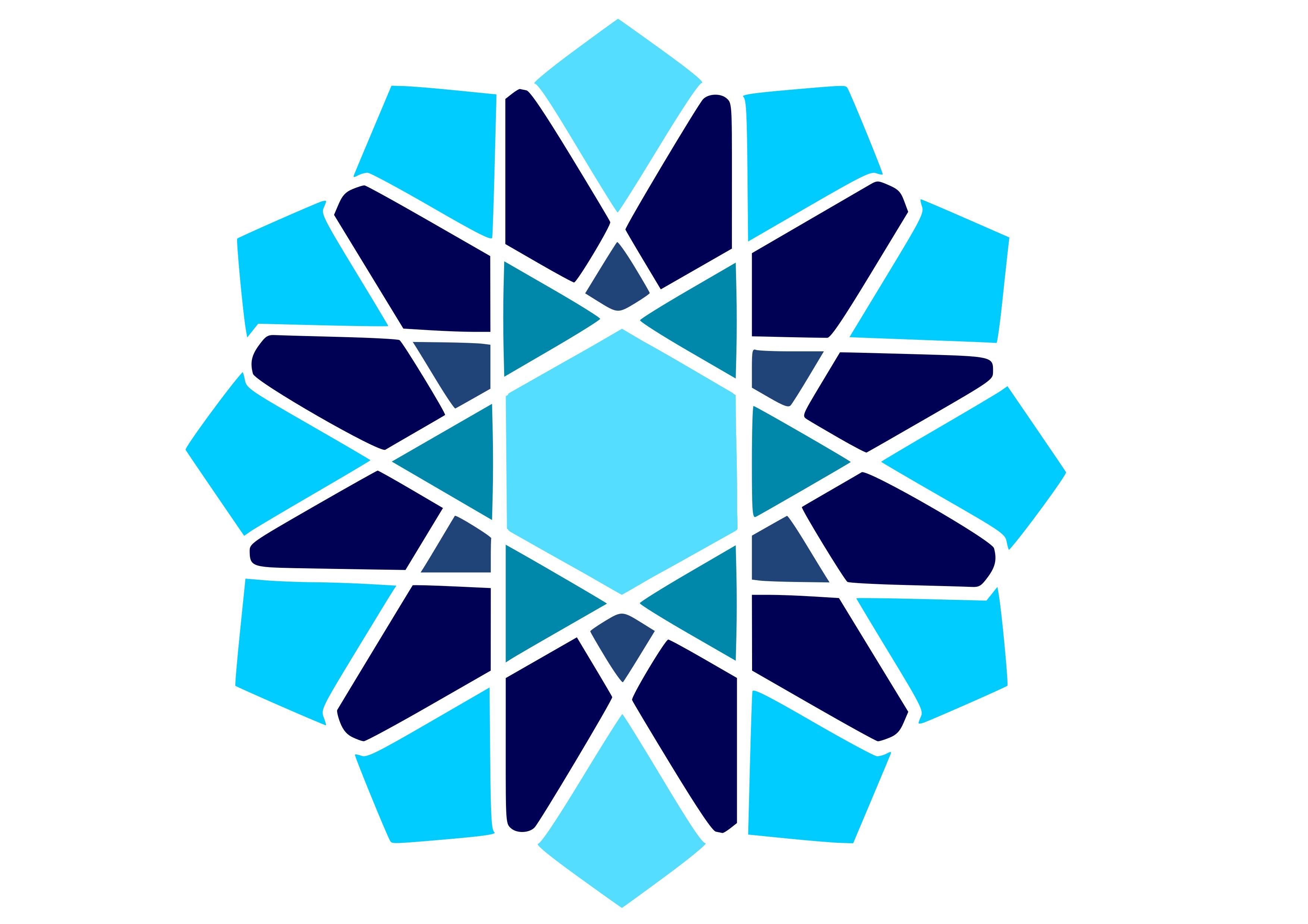 Rumana Shoyeb Shaikh